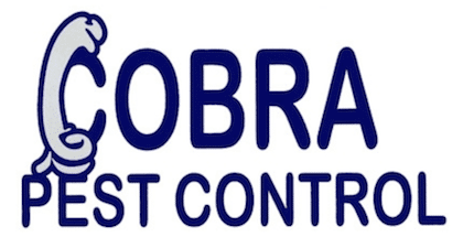 badly drawn logo