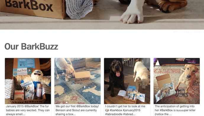 social proof example