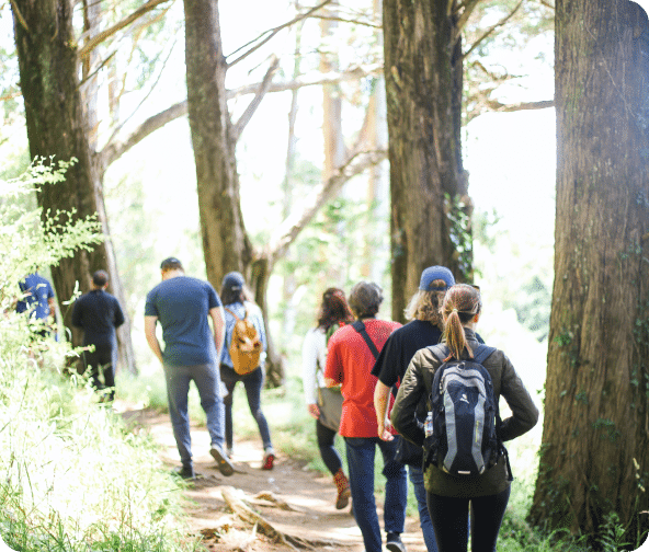 Group of people walk a nature path found in Humphrey's Country, TN.
