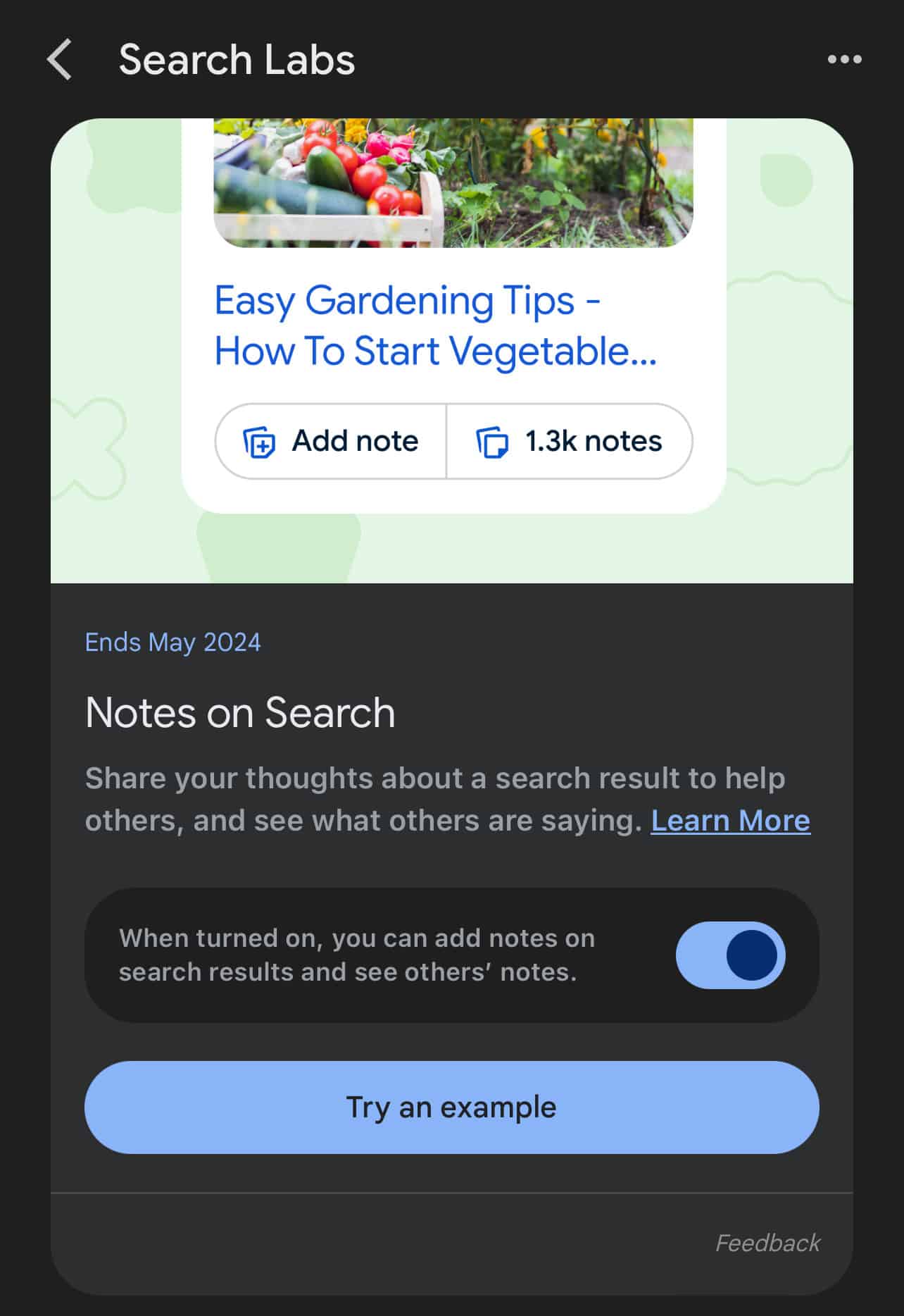 Google Search Labs Notes on Search feature turned on with an options to try and example.